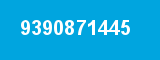9390871445