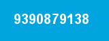 9390879138