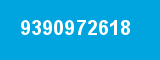 9390972618