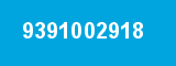 9391002918