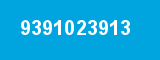 9391023913