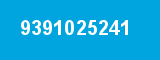 9391025241