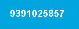 9391025857