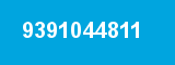 9391044811