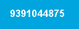 9391044875