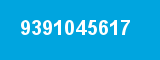 9391045617