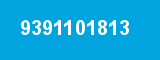 9391101813