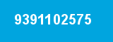 9391102575