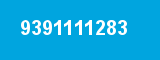 9391111283