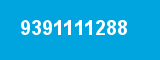9391111288
