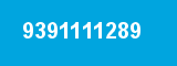 9391111289