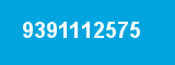 9391112575