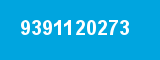 9391120273