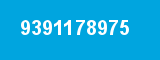 9391178975