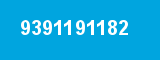 9391191182