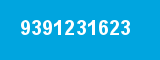 9391231623