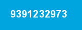 9391232973