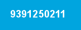 9391250211