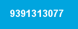 9391313077