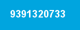 9391320733