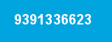 9391336623