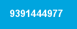 9391444977