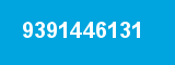9391446131