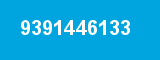 9391446133