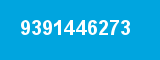 9391446273