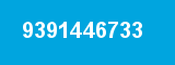 9391446733