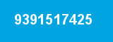 9391517425