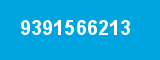 9391566213