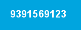 9391569123