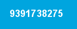 9391738275