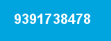 9391738478