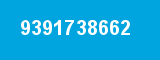 9391738662
