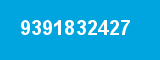 9391832427