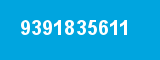 9391835611