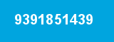 9391851439