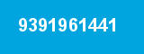 9391961441