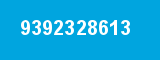 9392328613