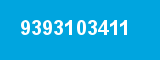 9393103411