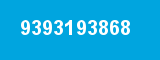 9393193868