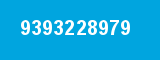 9393228979