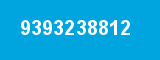 9393238812