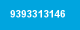9393313146