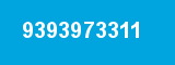 9393973311 9393973311