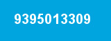 9395013309