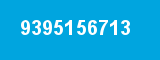 9395156713 9395156713
