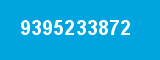 9395233872